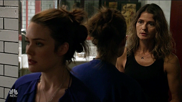 Megan Boone and Jill Hennessy from The Blacklist Season 4